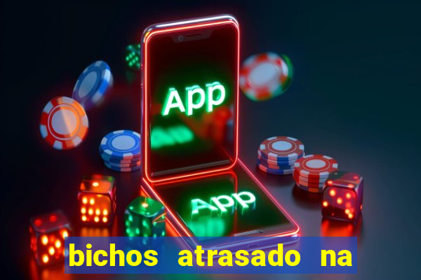 bichos atrasado na loteria dos sonhos